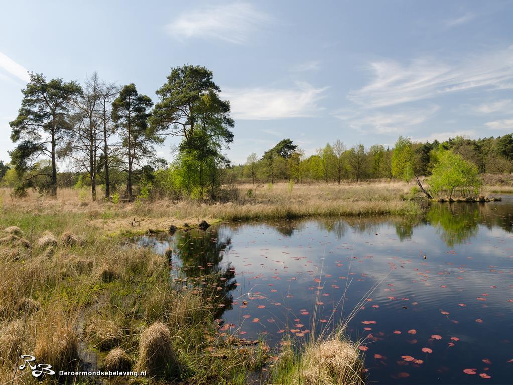 De Roermondse Beleving Ruremonde